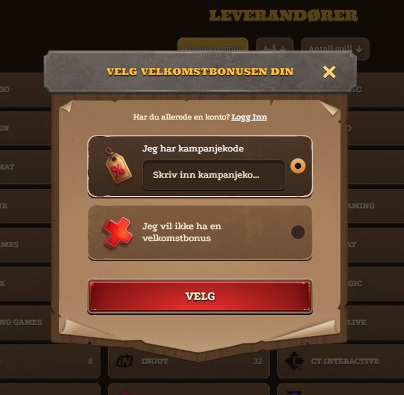 Spelers in Nederland: Wat is de Toekomst van Online Gaming?
